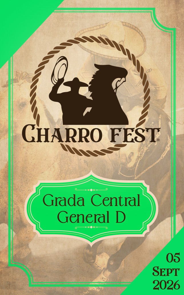 Grada D