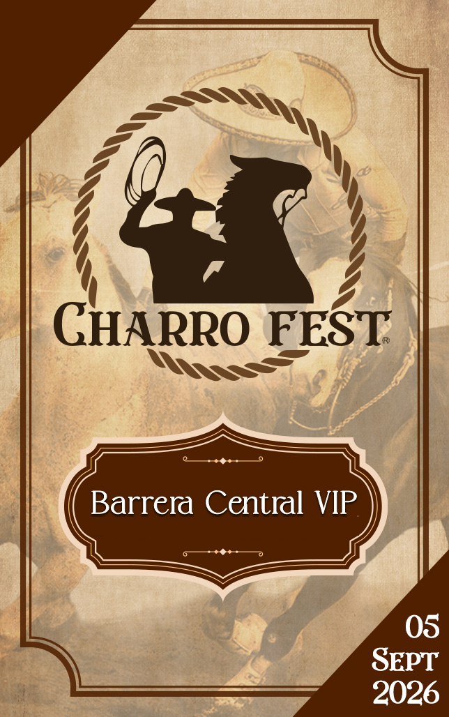 VIP Barrera Central