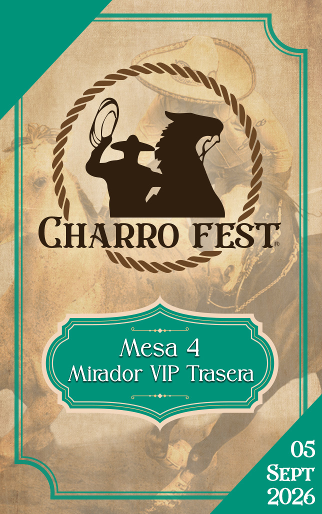 VIP Mirador Trasera Alta Mesa 4
